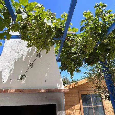 Rustica “puerta Palo” Alozaina